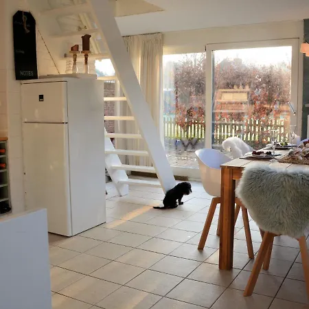 Cosy In Near *