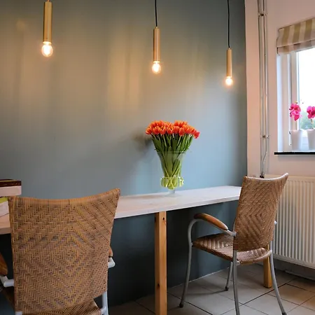 Noordwijk Near The Vakantiehuis Noordwijkerhout