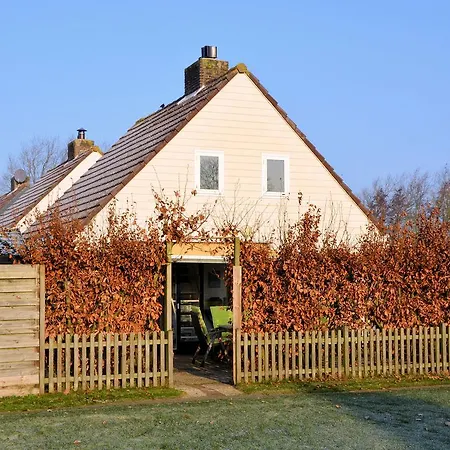 Cosy In Near *