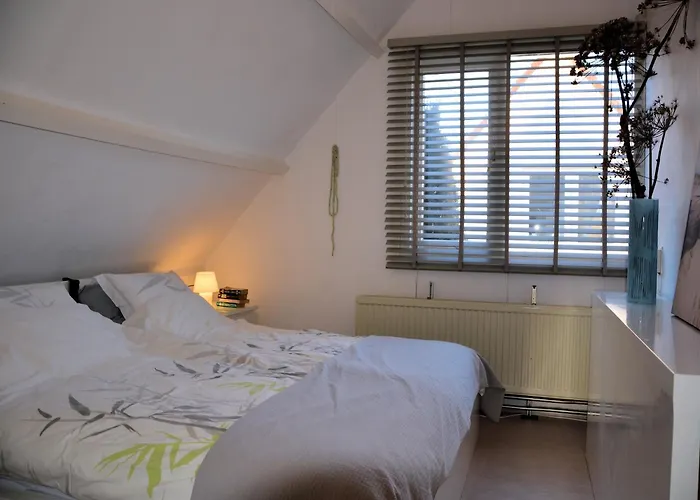 Noordwijk Near The Tatil Evi Noordwijkerhout