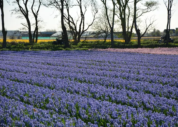 Noordwijk Near The Tatil Evi *